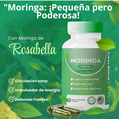 NutriGreen™ – Moringa en Cápsulas Nutrición Natural