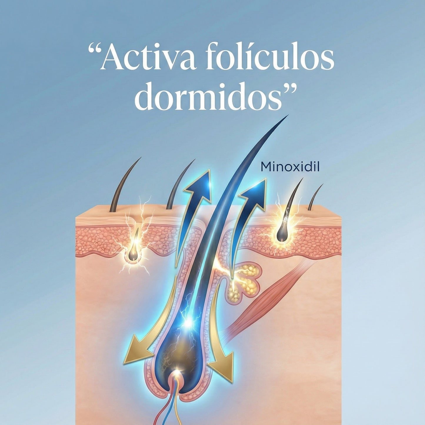 Minoxidil Pro™ 5% – Volumen, Fuerza y Regeneración Capilar