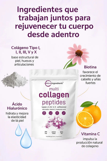 Colágeno Espectro Completo - Imagen 3
