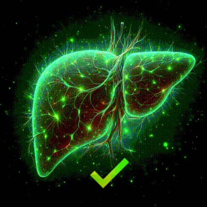 Suplemento Hepático Natural - Apoya la Salud y Digestión - Imagen 6